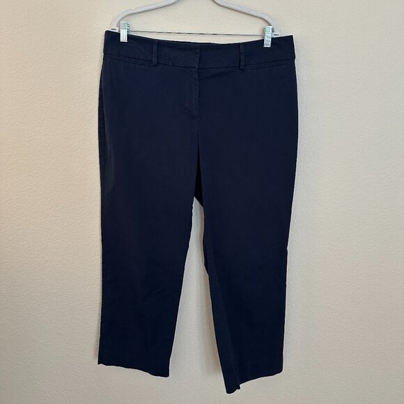 Ann Taylor Factory Navy Slacks - Picture 1 of 4